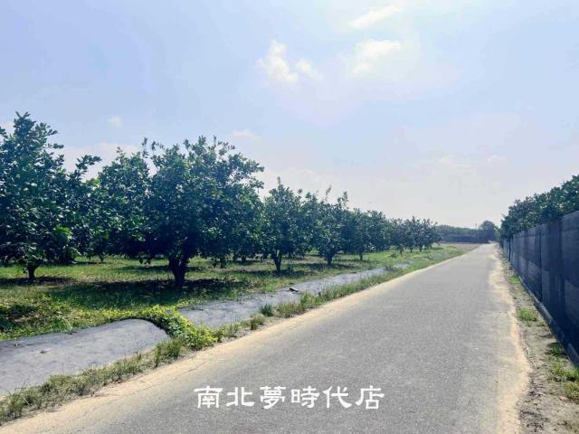 台南農地-3