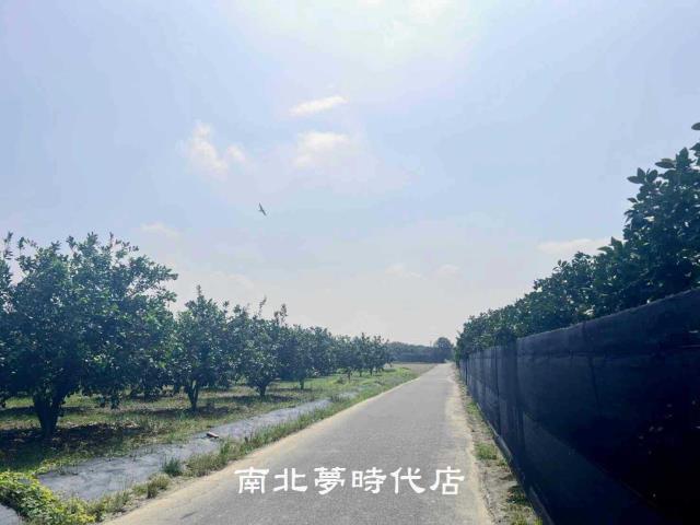 台南農地-4