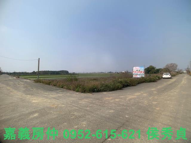 民雄農地-5