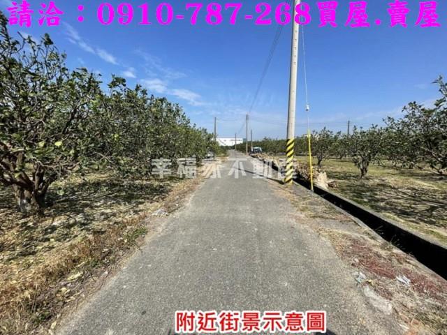 麻豆農地-6