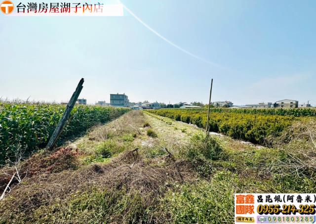 嘉義農地-2