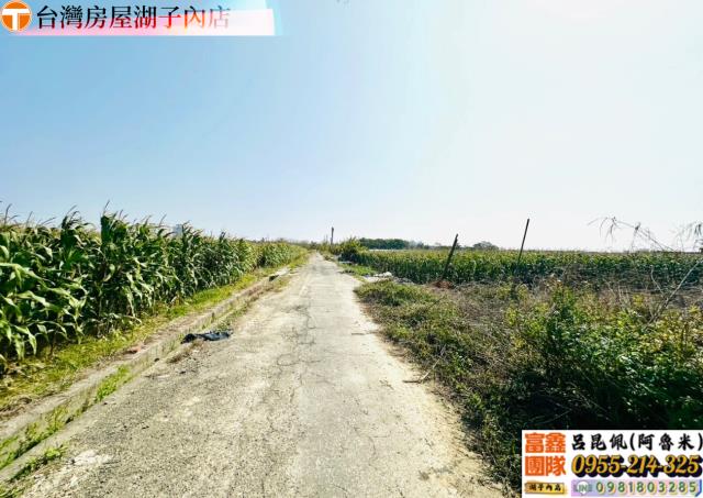嘉義農地-4