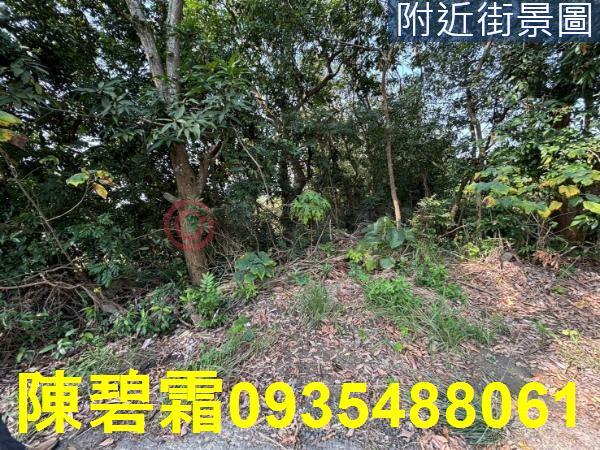 台南大內農地-13