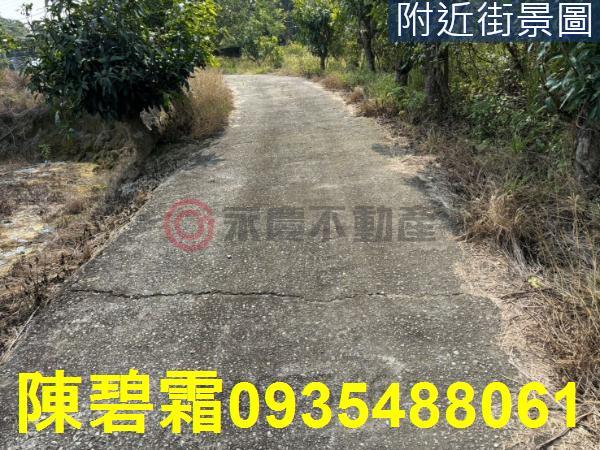 台南大內農地-14