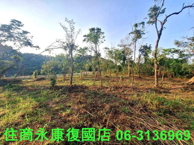 台南南化農地-12