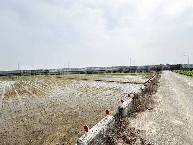 後壁農地-1