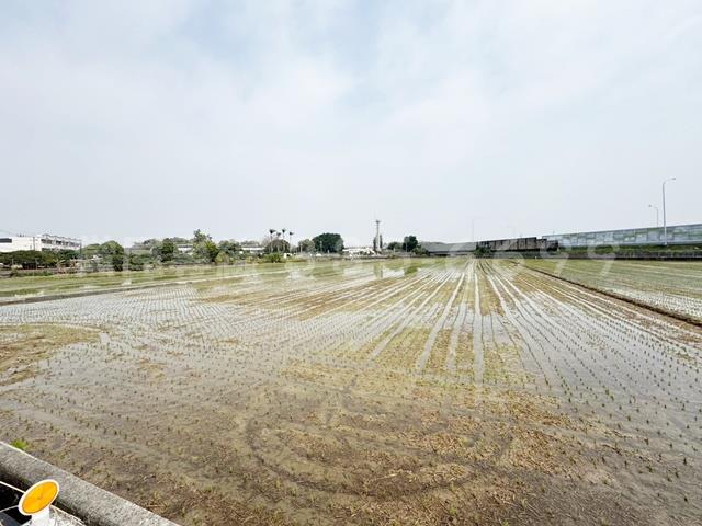 後壁農地-2