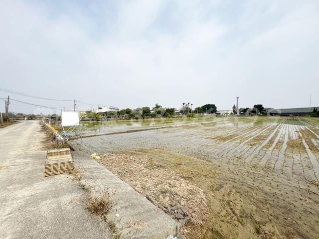 後壁農地-4