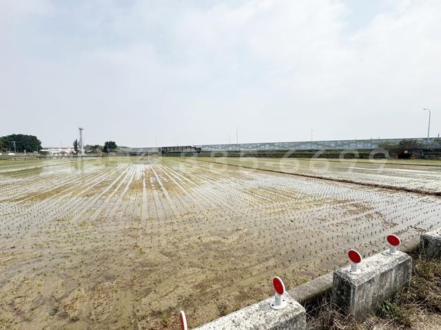 後壁農地-7