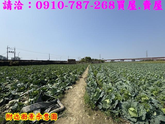 新市農地-12