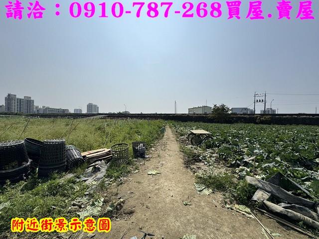 新市農地-13