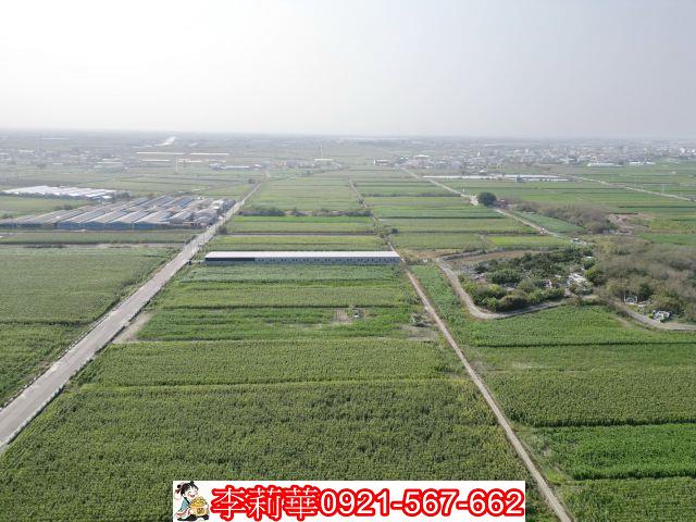 佳里農地-9