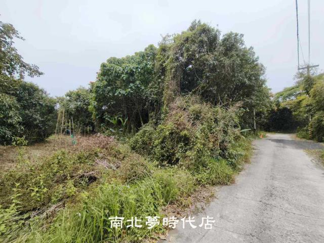 台南新化農地-4