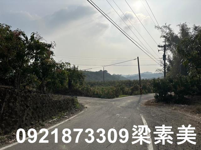玉井農地-10