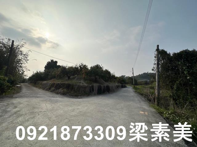 玉井農地-11