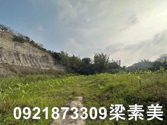 玉井農地-12