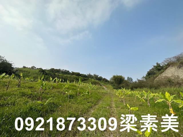 玉井農地-13