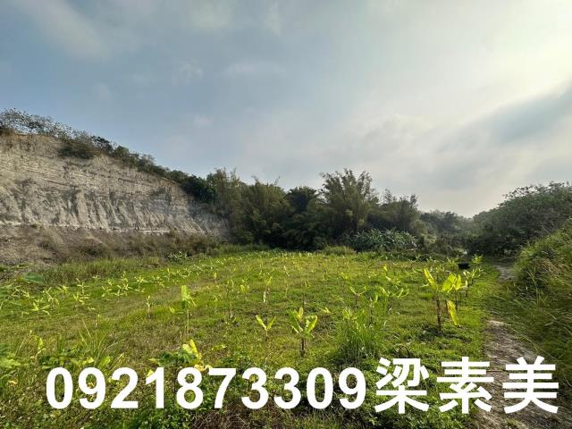 玉井農地-1