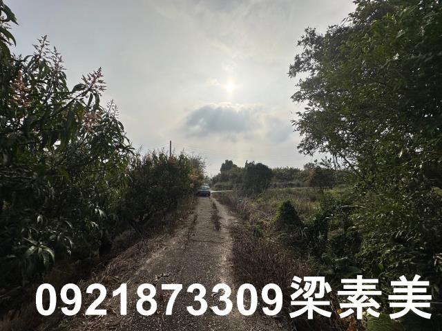 玉井農地-2