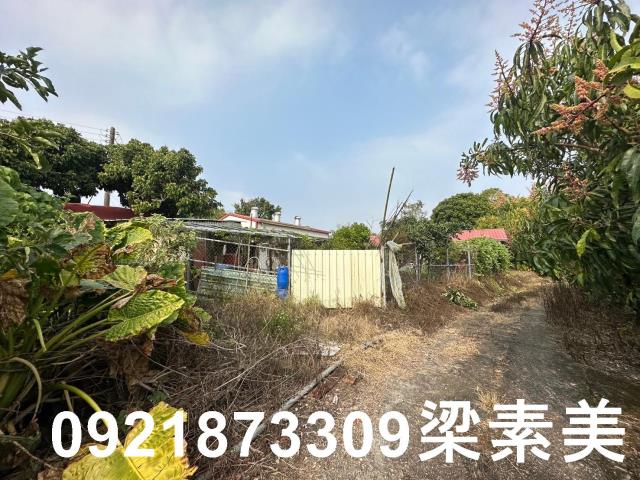 玉井農地-3