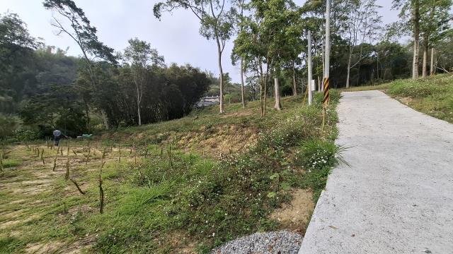 台中農地-14
