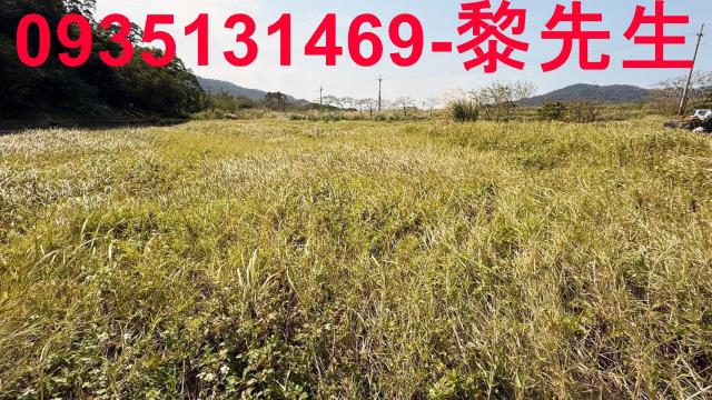 新竹新埔農地-12