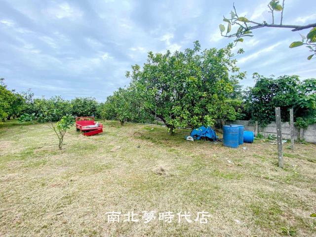 麻豆農地-5