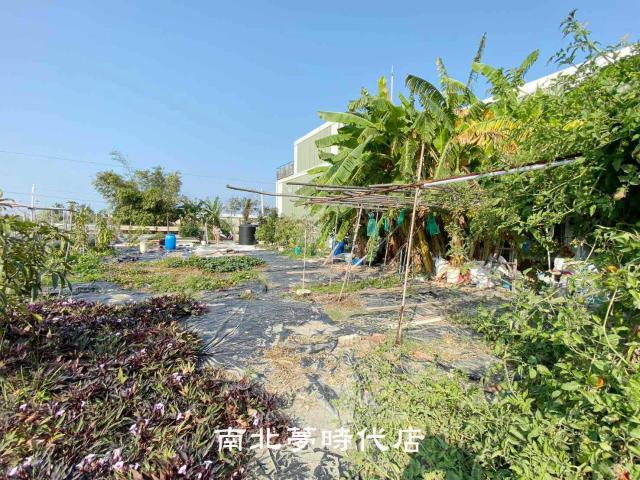 南區農地-2