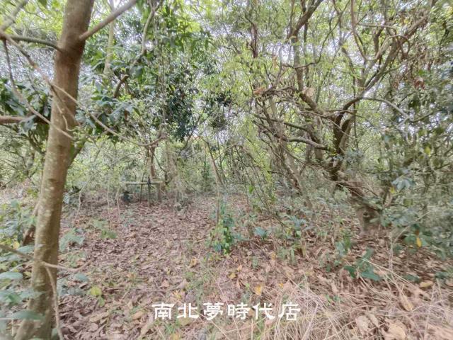 新化農地-5