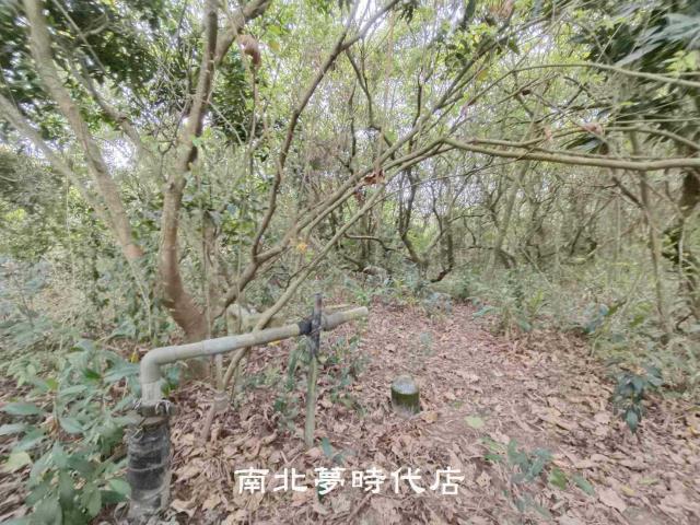 新化農地-6