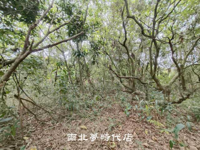 新化農地-7
