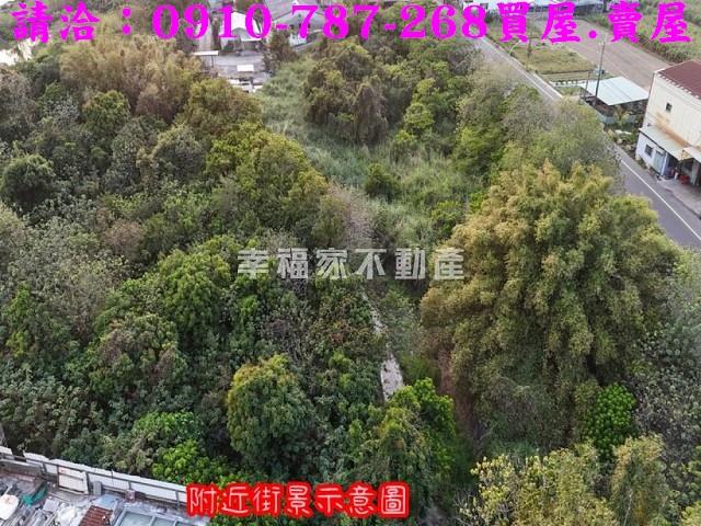 台南歸仁農地-3