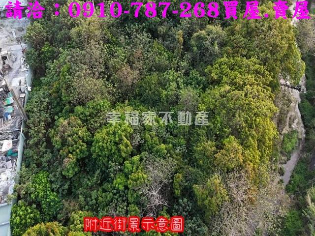 台南歸仁農地-4