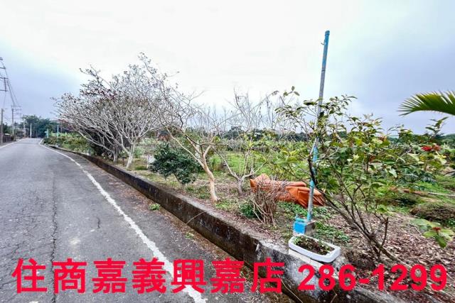 中埔農地-3