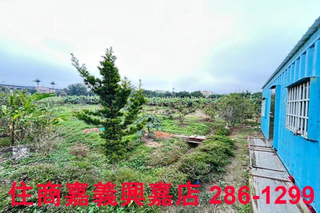 中埔農地-5