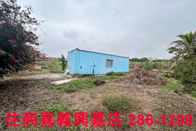 中埔農地-6