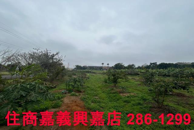 中埔農地-7