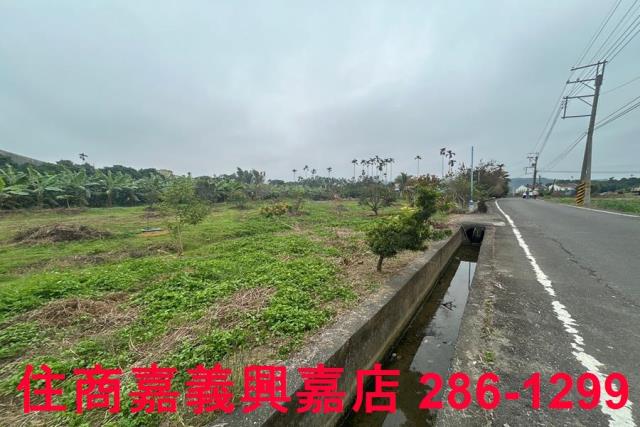 中埔農地-9