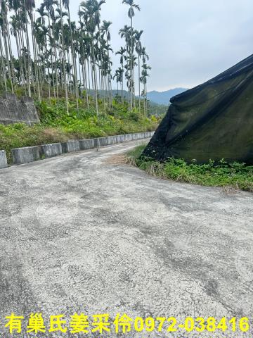 中埔農地-6