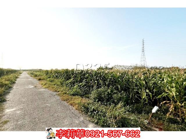 台南新營農地-2