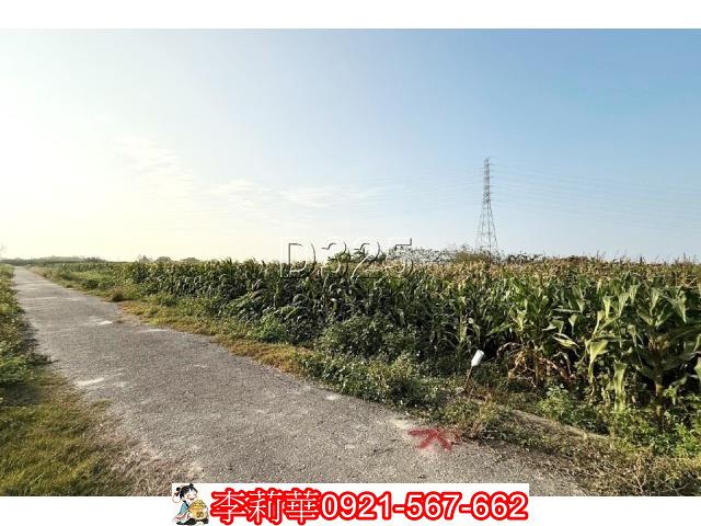 台南新營農地-3