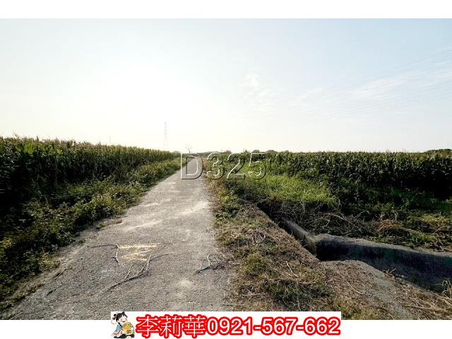 台南新營農地-4