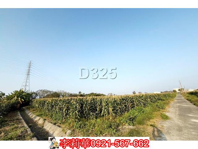 台南新營農地-6