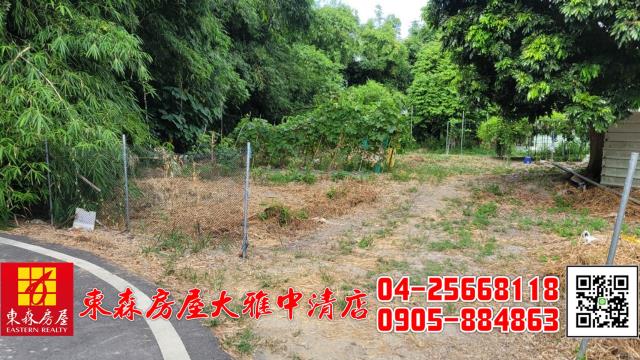 台中神岡農地-2