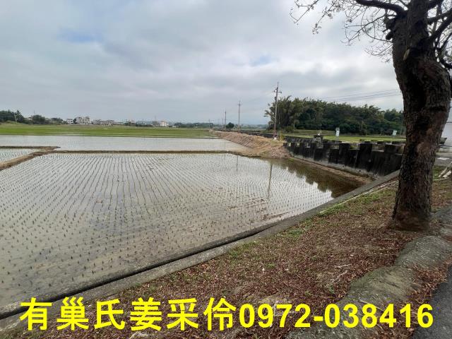 嘉義民雄農地-12