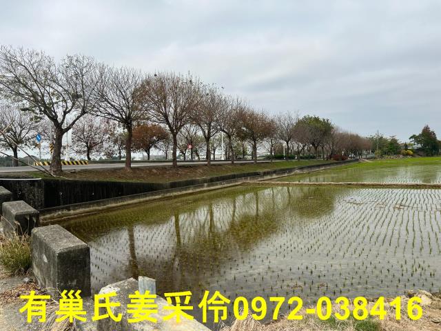 嘉義民雄農地-2