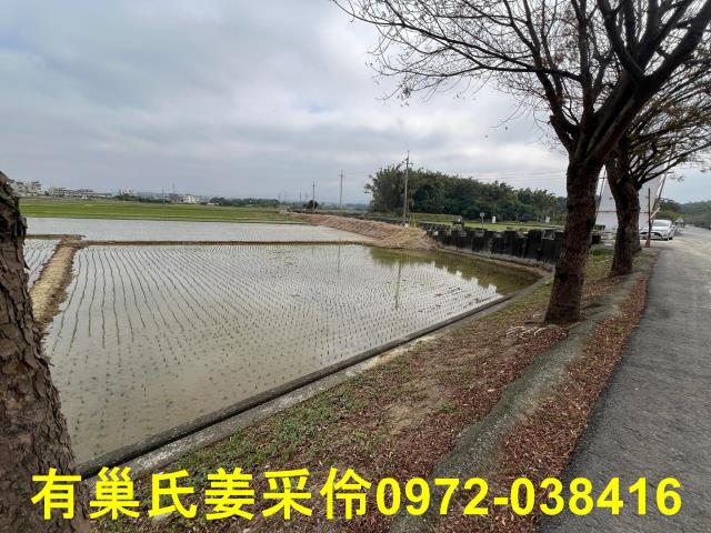 嘉義民雄農地-5
