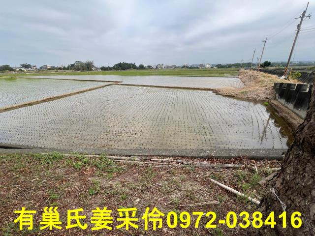 嘉義民雄農地-6