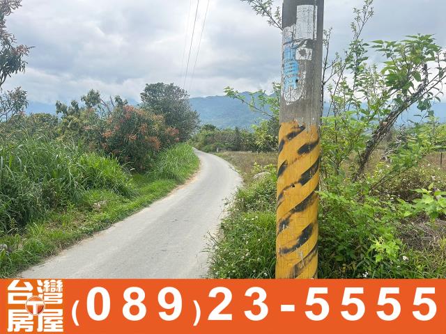 鑽石台東土地買賣