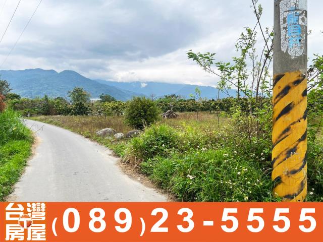 鑽石台東房地產買賣